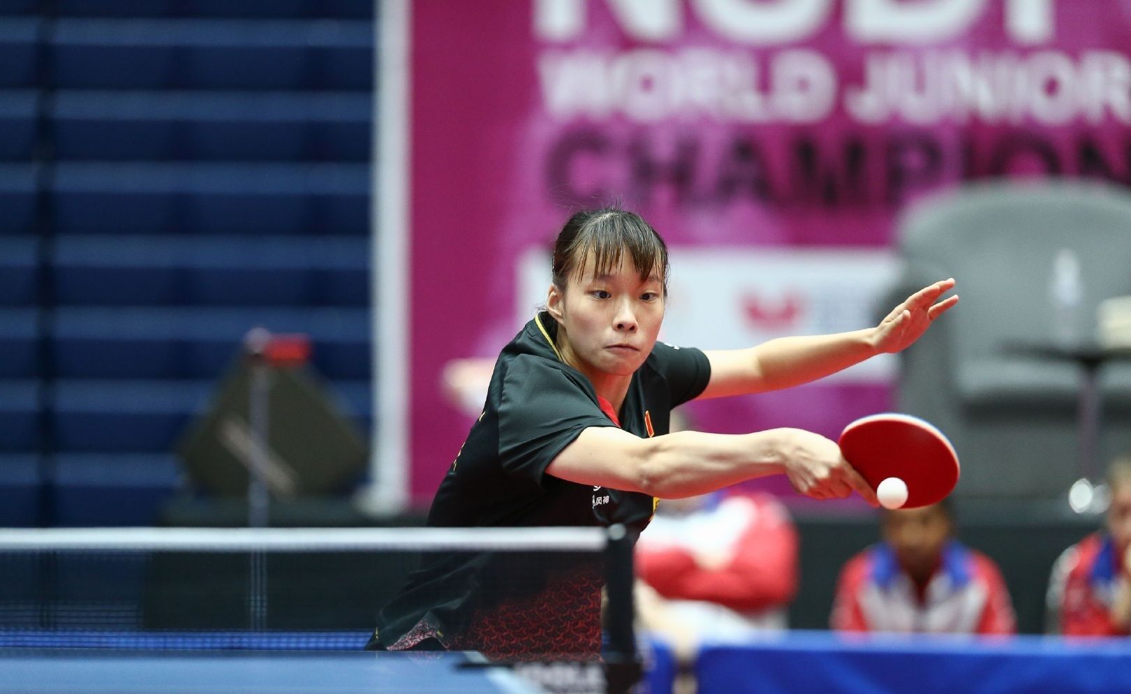 从佯动到决 从佯动到决